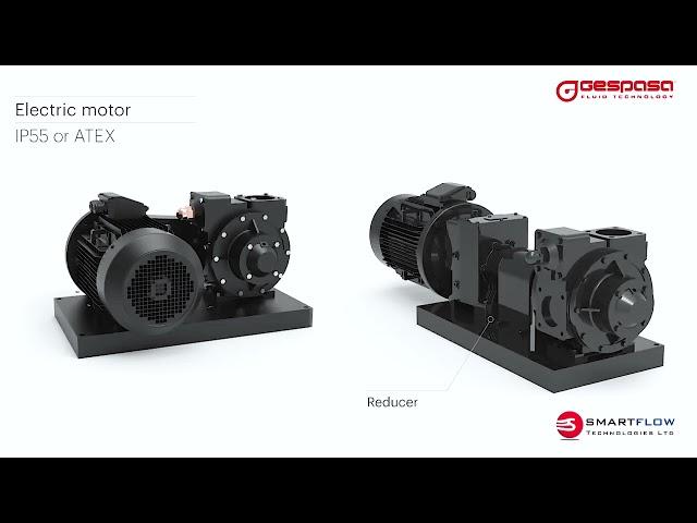 GESPASA   BDP High flow vane pumps for Diesel, Petrol or lubricants