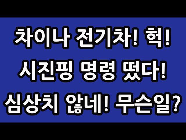 차이나 전기차 SOLACTIVE 주식 주가 전망 타이거 TIGER 중국 ETF 비야디 테슬라 니콜라 루시드 엔비디아 아이온큐 TQQQ SOXL TMF 회의 결과!