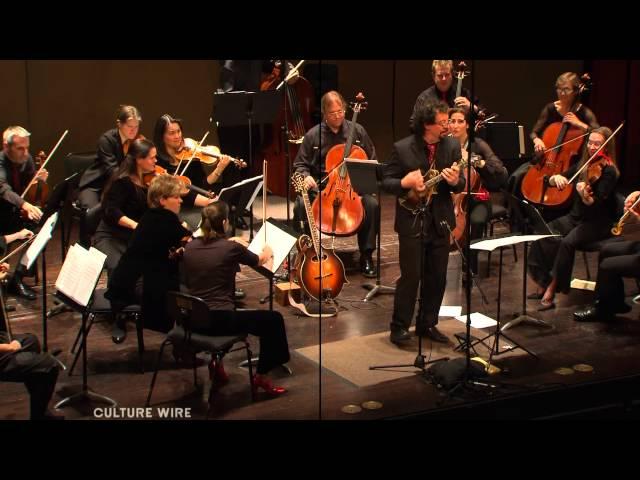 chamber orchestra