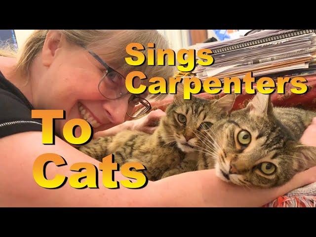 Woman sings Karen Carpenter song to adorable snuggling cats.