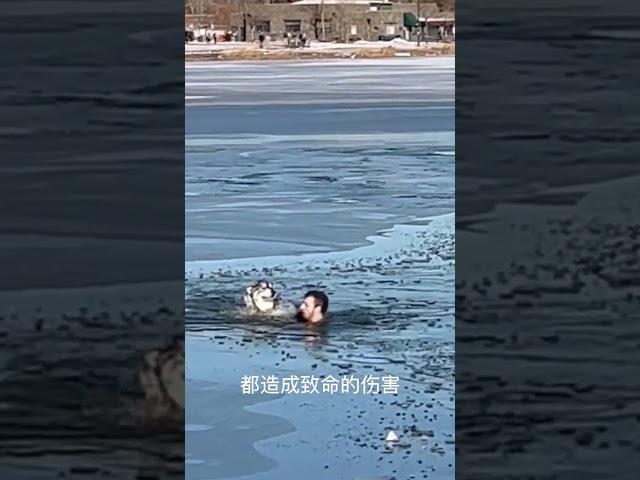 他跳进结冰湖水里救一只狗