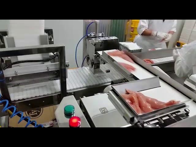 Fresh Meat Tray Feed Packing Machine-12 Head Linear Combination Weigher