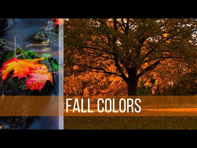 Fall - A Beautiful Season