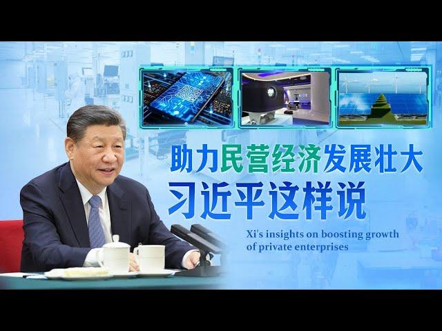 时政微视频 | 乘风生长