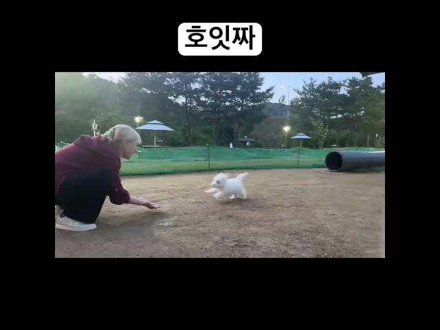 언니를 믿어서 점프하는 김자몽