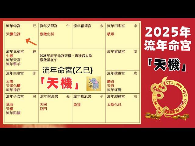 2025 蛇年運勢｜乙巳年｜天機｜流年運勢 | 2025乙巳年