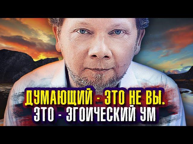 Думающий – это не вы. Это – эгоический ум! Экхарт Толле