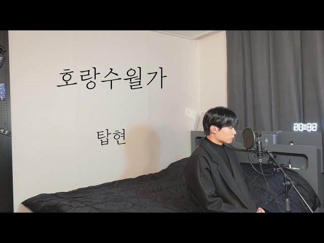 탑현 - 호랑수월가 (리메이크ver) / 다시 불러보는 호랑수월가