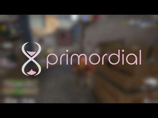 first day with primordial.dev