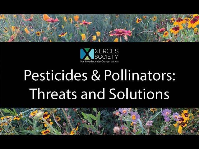 Pesticides & Pollinators Threats and Solutions