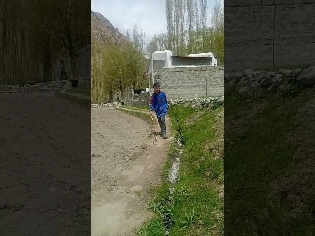 #youtubeshorts #shorts #shortvideo