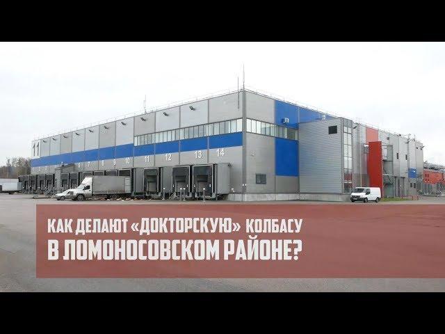 Как делают «Докторскую» колбасу в Ломоносовском районе