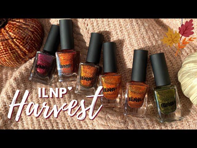 These Are absolute MAGIC!  ILNP Harvest Swatch + Review with Comparisons | @polished_yogi