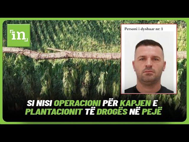 Ekskluzive: Insajderi sjell videon se si nisi operacioni për kapjen e plantacionit të drogës në Pejë