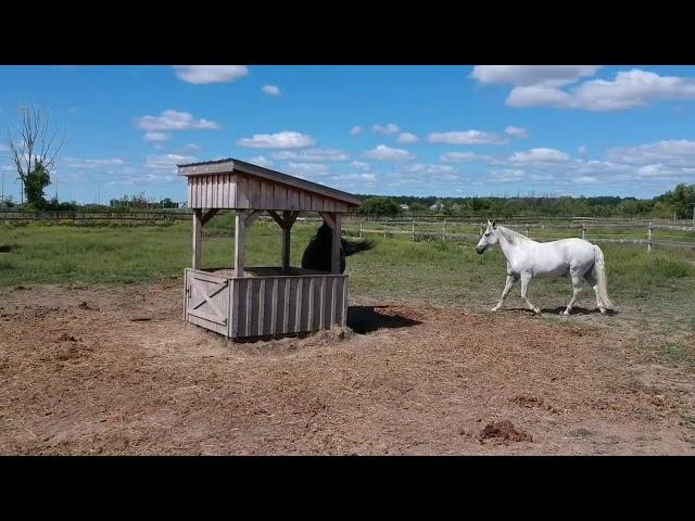 A Birds Eye View of Royale Equestrian Centre