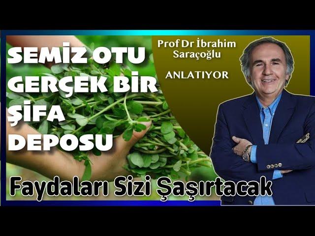 SEMİZ OTU TAM BİR ŞİFA DEPOSUDUR. İLK DEFA DUYACAĞINIZ FAYDALARI. #semizotu #ibrahimsaraçoğlu #