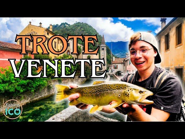 MARMORATE e FARIO in CITTÀ?! Una GIORNATA di PESCA alla REGINA VENETA in compagnia di RICCARDO! (4K)