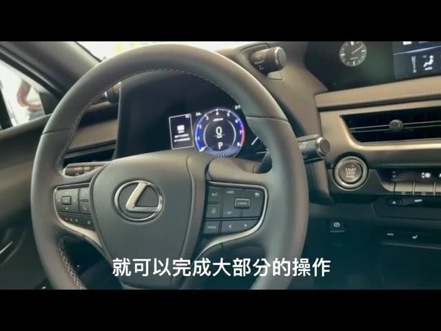 中部LEXUS尊榮獻禮- 彰化所璧宇講車UX