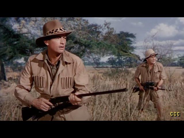 The Snows of Kilimanjaro (1952) Gregory Peck, Ava Gardner | Adventure, Drama