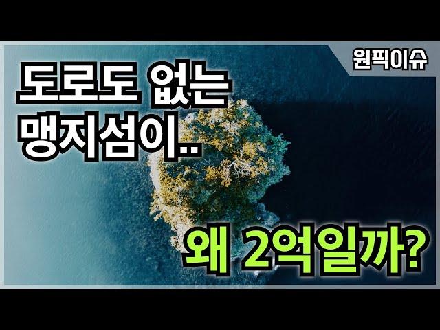 [원픽이슈+34] 맹지섬에 베팅하는 사람들...여수 제도 어떤 곳이길래? (아파트경매 추월한 토지경매 낙찰률)