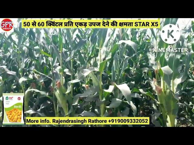 STAR Agro Tech pvt ltd Hyderabad (GPR) Group in Available Chhattisgarh (Patthalgon market)