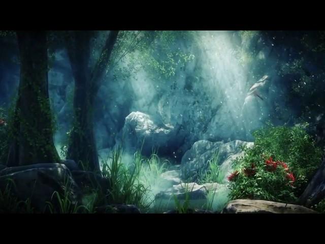 Magic forest fantasy wonderland video background for video Maker