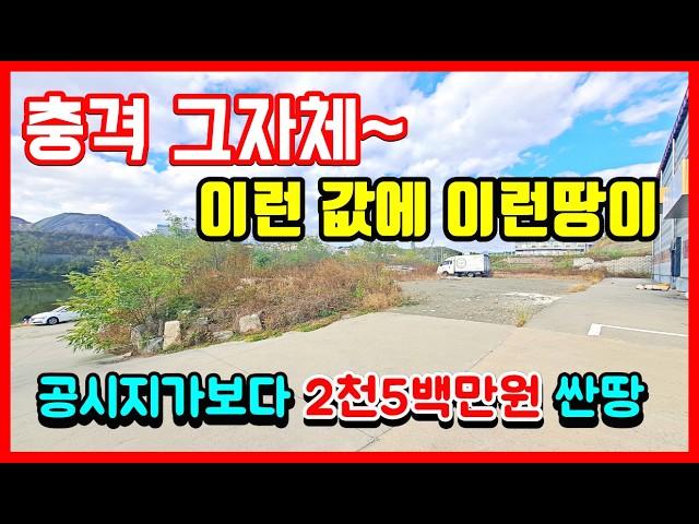 충격!!!  땅값만큼 대출이 나올수 있는 땅!! 감정가 보다 1억싸게 파는 토지매매 사정상 급매로 땅매매 - 경북 영천 촌땅 시골땅 임야 매매 #착한부동산