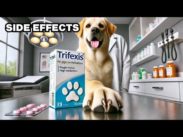 What Are The Side Effects Of Trifexis In Dogs? Explained