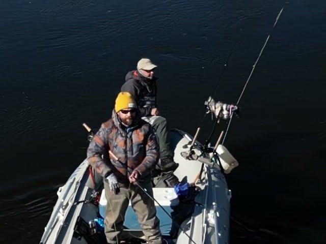 Fly fishing for taimen, Tugur river, Russia