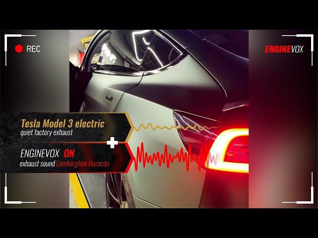 Electronic active sound exhaust system Tesla Model 3 electric #ENGINEVOX