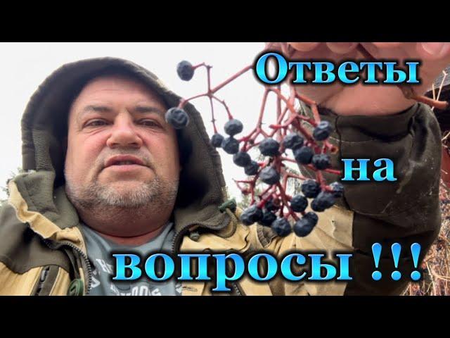 Ответы на вопросы !!!