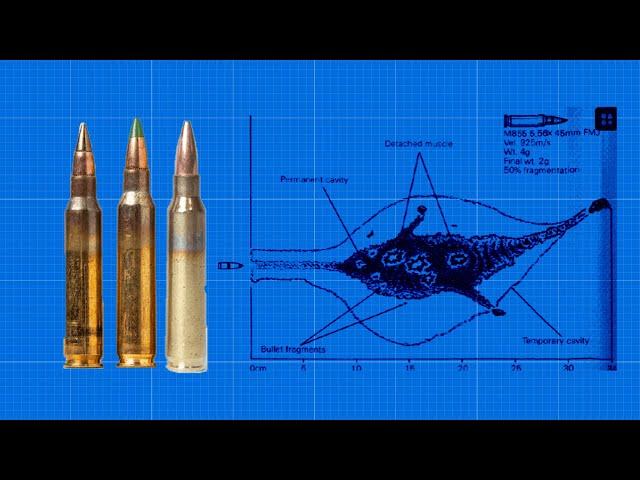 Picking the Best 5.56 Round