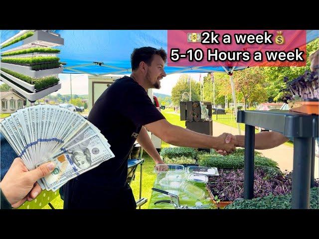 Master Microgreens Farmer PROVES How to Make Money Growing Microgreens Business at Farmers Market