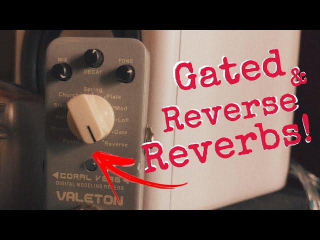 This Budget Pedal has GATED and REVERSE REVERBS!