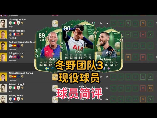 冬野team3 现役 孙兴慜 罗尔芙 德赫亚 达尼洛 奥纳纳 史密斯等 球员简评【FC25】