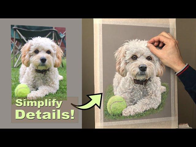 Pastel Pet Portrait of Timmy ~ Try My Method to Simplify Details. Narrated Tutorial