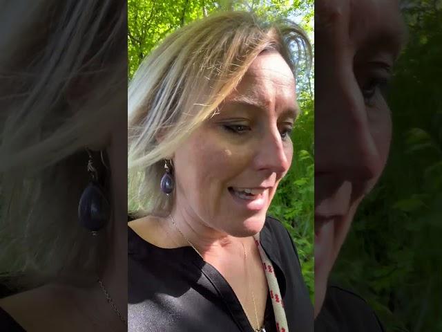 De la Trahison à la Résilience...