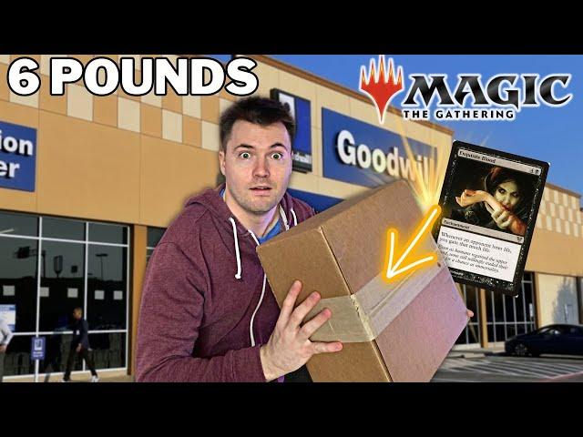 Winning A 6 Pound Collection Of Magic: The Gathering Cards At Goodwill! | RANDOM BUY