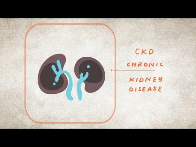 What is Kidney Disease? | The Kidney Disease, Heart Disease, and Diabetes Connection | NKF