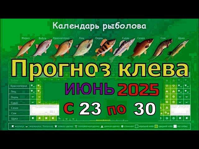 Когда лучше клюет рыба на этой неделе с 23 июня по 30 Июня 2025