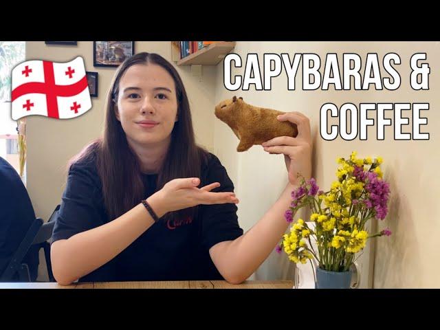 Are skyscrapers ruining the vibe? Batumi, Georgia vlog: birds, coffee and capybaras