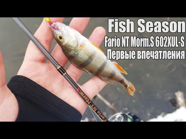 Бюджетный наноджиг. Fish Season Fario NT Morm.S 602XUL-S