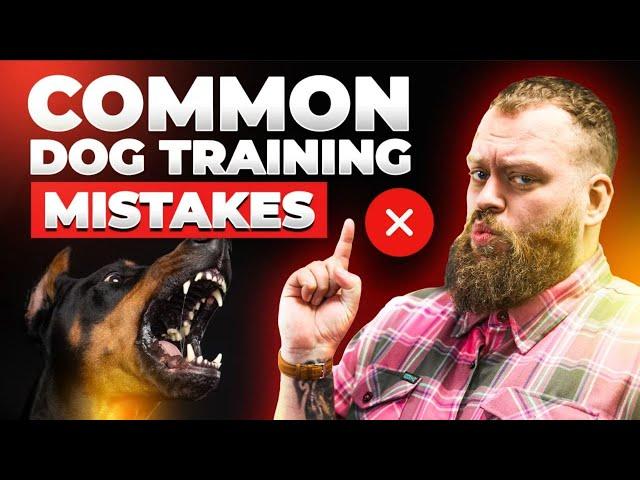 Common Dog Training Mistakes Dog Owners Make