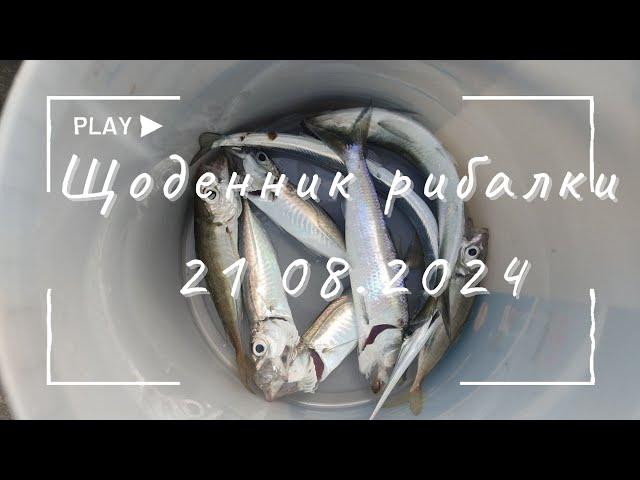 Щоденник рибалки 21.08.24. Ранковий вилов