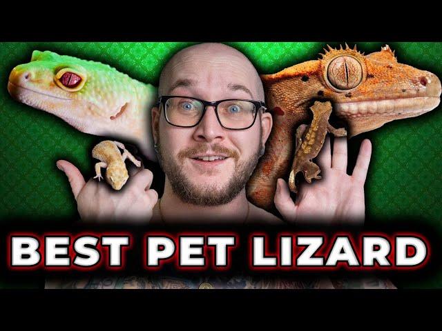 Leopard Gecko Vs Crested Gecko | Which is The Best Pet Lizard!?