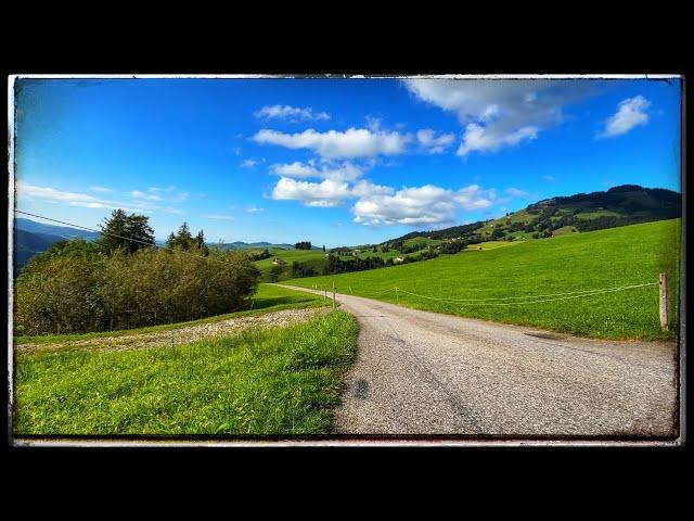 Wind Sound for Sleeping – birds chirping sound – background nature sound video - relaxing