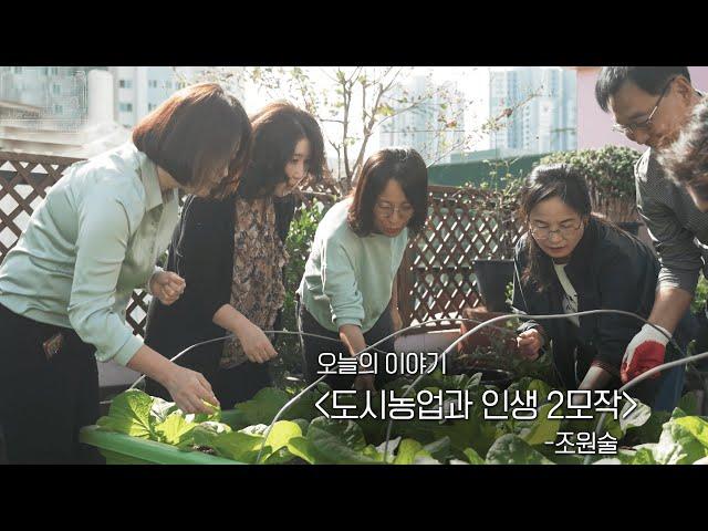 [세상다반사] 도시농업과 인생 2모작 | KBS 231101 방송