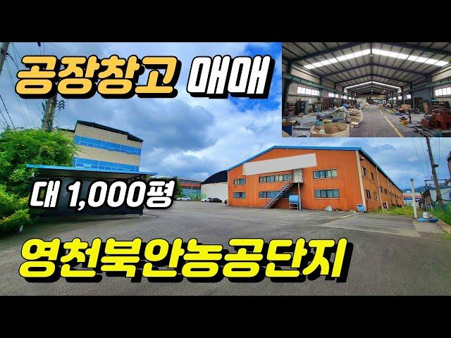 공장창고매매 즉시입주가능  영천북안농공단지 대지1,000평 영천IC8분거리