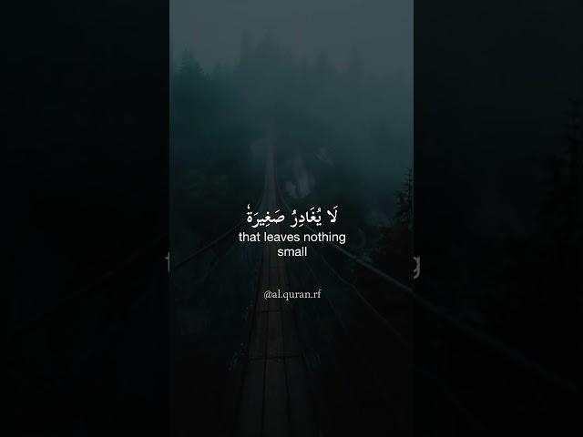 [Surah Al-Kahf | Verse  49 |Reciter - Abu Bakr Al Shatiri  ]