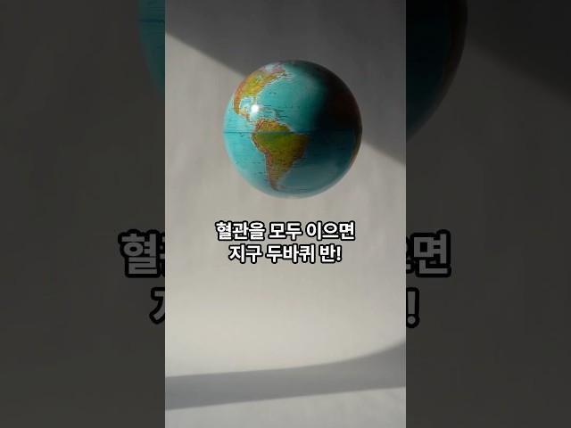 혈관을 모두 이으면 지구 두바퀴 반! #상식 #지식 #재미 #쇼츠 #궁금증 #shorts